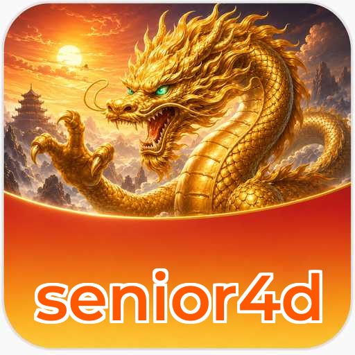 Rekomendasi & Kesimpulan - senior4d